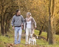 Couple walking dogs