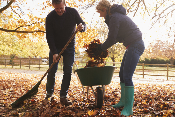 mature couple raking autumn leaves in yard